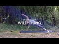 Towards Wild Thing/ Rockstar (Int/Adv) 14 minute mini-practice