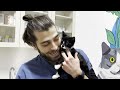 THE KITTEN ASKS FOR HELP! ( Comes to Vet with a Broken Leg! )