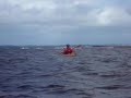 Kayak PEI 2009 : Seals