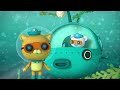 ​@Octonauts -  🎭 Trick or Treat Camouflage Creatures 👻 | 🎃 Halloween | 60 Mins Compilation