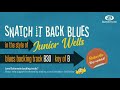 Snatch It Back Chicago blues backing track in B | Junior Wells & Buddy Guy style groove!