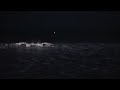 Bioluminescence in Laguna Beach 1/1/24