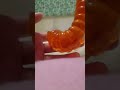 Giant Gummy Worm Rating!!