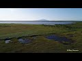 サロベツ湿原　DRONE×HOKKAIDO