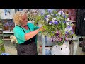 A bouquet on a frame of garden flowers. Floristry.