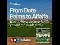 From Date Palms to Alfalfa: How Arizona became fertile ground for Saudi farms