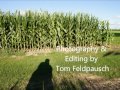 Feldpausch Family Farm Corn Time Lapse