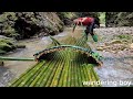 Full video The boy made a primitive fish trap and caught many big fish in the stream.