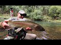 FISHING a BEAUTIFUL River for BIG Trout [CAMP OUT]
