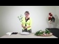 How to make Ikebana ? - Free Online Class