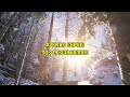 Bad Bunny - Moscow Mule (Letra) | mix by Jacinthe Letra Lyrics