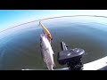 How Stripers React Under Water And How To Adjust