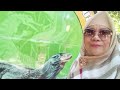 BunRum jumpa Eyang putri Titin, Mba Mun di Kebun Binatang Surabaya #dailyvlog #literasi #indonesia