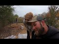 New Born Great Pyrenees Puppies Arrive on our Homestead!