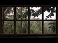 Raining |window|#rain #rainsounds #window #projector #4k #views #view #beautiful #scenic #newyork