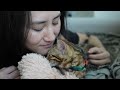 Our Bengal kitten goes outside for the first time! | Ep 3