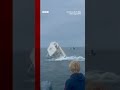Moment whale capsizes fishing boat in the US. #Whale #US #BBCNews