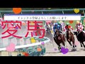 7/8  大井競馬メインルビー賞予想