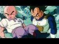 TFS - Vegeta and Goku get hit in the D***!