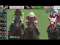 【競馬検証】馬単4頭BOX！②③④⑤人気の4頭で12R分検証。