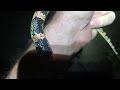 Longnose snake
