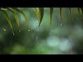 Relaxing Music & Rain Sounds   Beautiful Piano Music, Background Music, Sleep Music, Calm Music