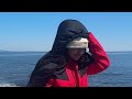 Whale Watching in Victoria Canada
