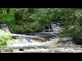 Forest Waterfall Nature Sounds - Water Flowing in a Stream for Sleeping - Natural Music of the River