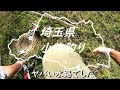 こんな小さな小川で高級魚が！！！