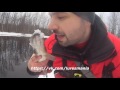 Catches or not? Testing Jackall Rerange 130 on the river. Winter pikefishing.