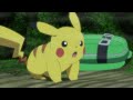 Galar-Gallopa! | Pokémon Meister-Reisen: Die Serie | Offizieller Videoclip