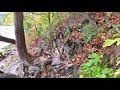 Niagara Gorge Trails |  FALL COLOURS |  Niagara Glen | Niagara Whirlpool Gorge | Discovery Hiking