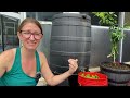 Top 10 Money Saving Crops to Grow in Your Backyard Garden