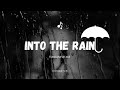 SkyFall - Into The Rain