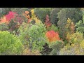 Fall colors on the fire tower