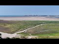 Lilas de mer en baie d'Authie