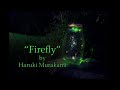 Firefly (Short Story) - Haruki Murakami