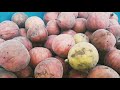 Fig fruit || அத்தி பழம் || Athi #fruit