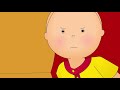 Caillou and the Class Pet | Caillou Cartoon