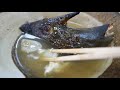 Japanese Street Food - CLOWN TRIGGERFISH Okinawa Japan Seafood
