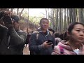 fushimi inari with bamboo walk