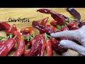 July Harvesting & I Made a Chile Ristra