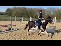 MY NEW HORSE | MEET INKY