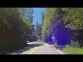 2 Hours Of Scenic Forest Driving | Santa Cruz Mountains, California | Ambient Sound, No Music | 4K
