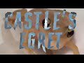 Coqui frog metal song /// Castle's Egret