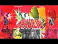 Tiamond feat. Cioara - Brasilia 🇧🇷 (Official Visualizer)