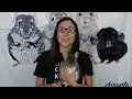 What Do Chinchilla Cages Need? | The Official Chinchilla Care Series