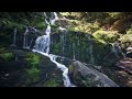 Peaceful Waterfall - Relaxation - Sleep