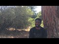 Samad Raheem Guerra S.C.A.R.S. Story (Emeryville, Ca, USA)