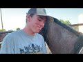 Horse Training - First Ride, First Mount